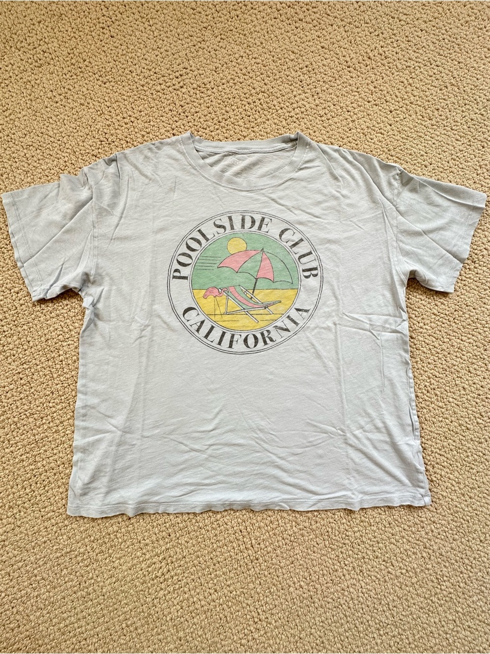 American Eagle Outfitters Light Blue Poolside Club Graphic Tee